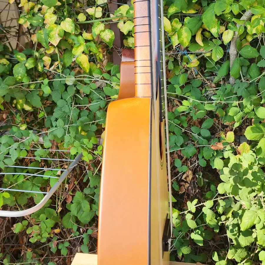 Avrasya Modeli Bağlama - 6