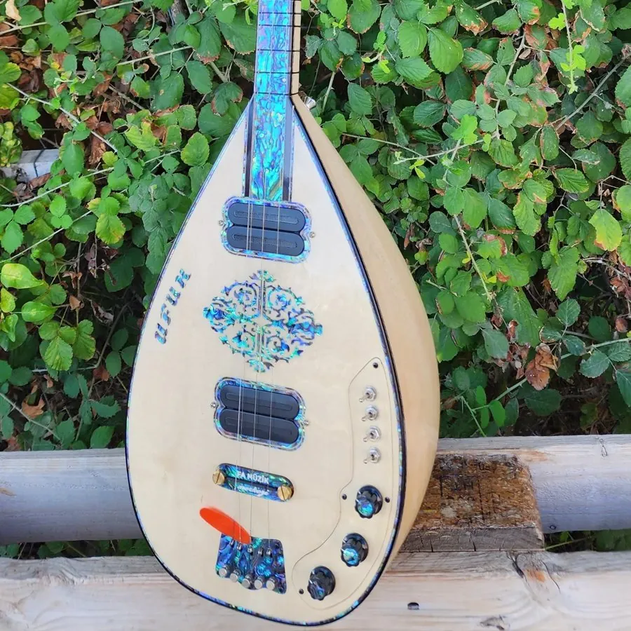 Kişiye Özel Elektro Bağlama - 3