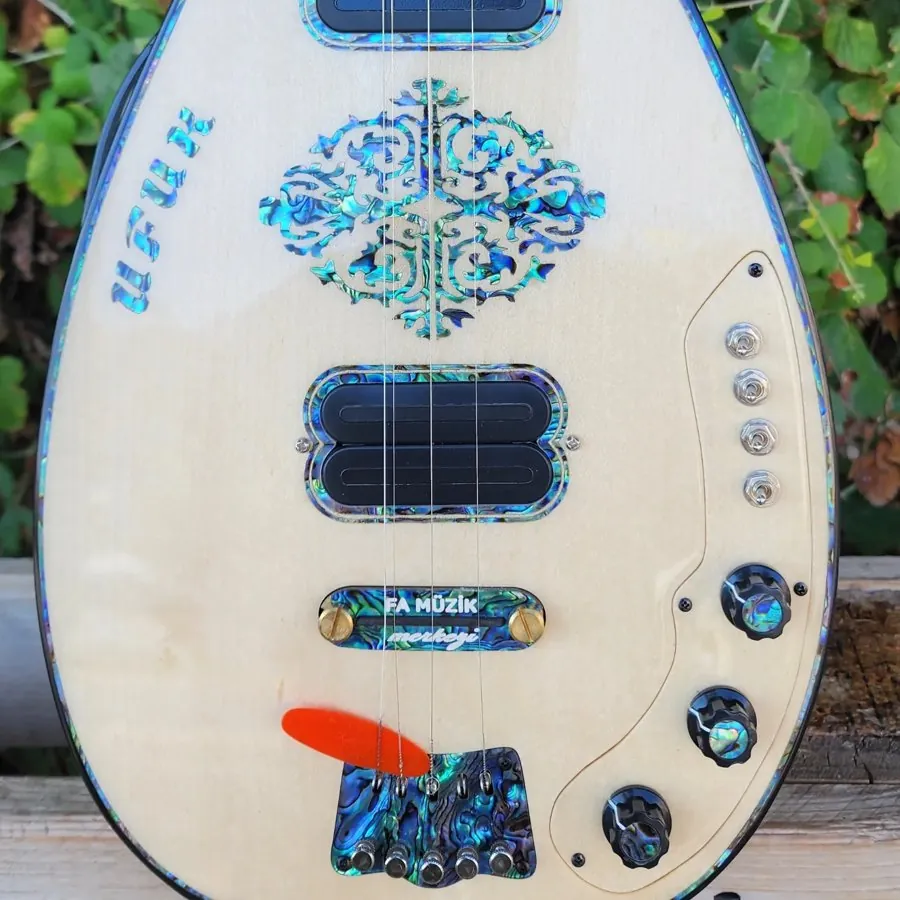 Kişiye Özel Elektro Bağlama - 4