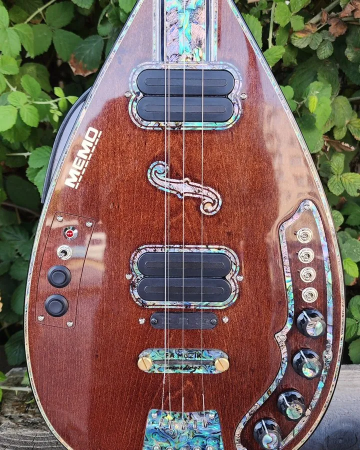 Kişiye Özel Elektro Bağlama - 5