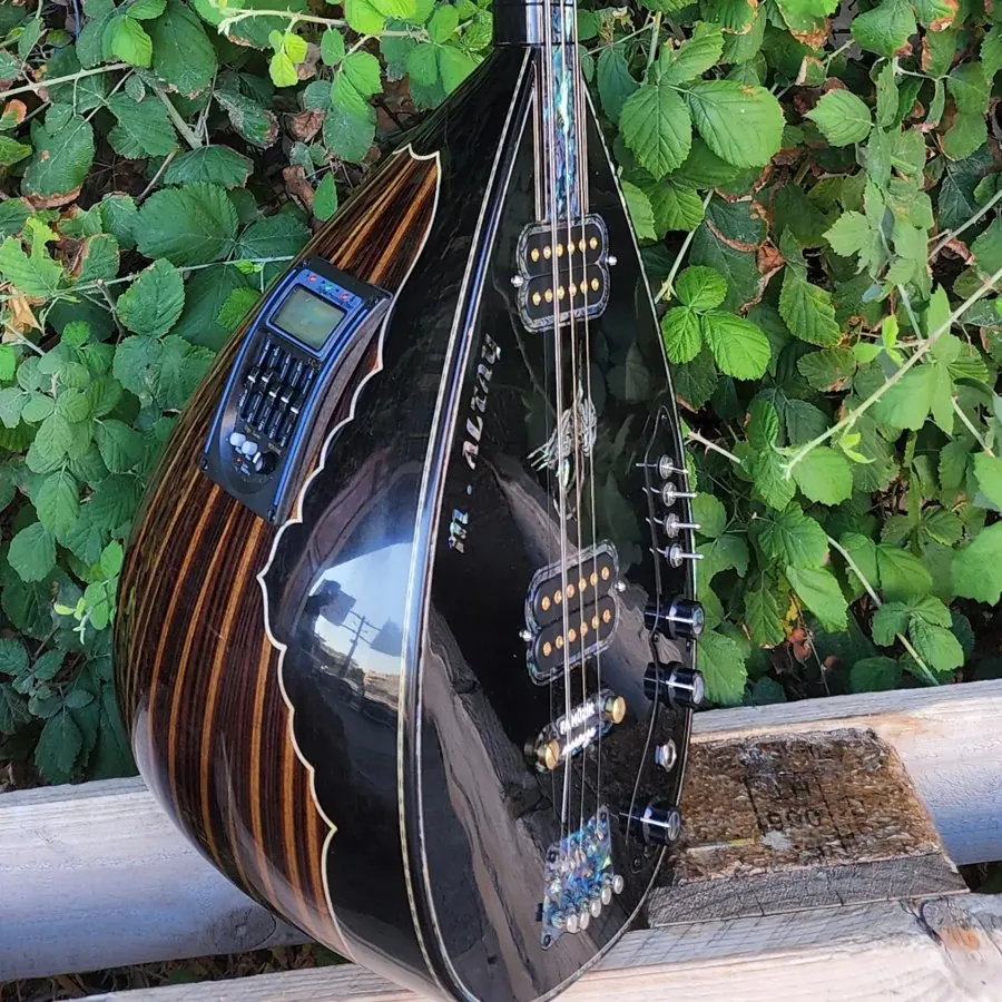 Kişiye Özel Elektro Bağlama - 6